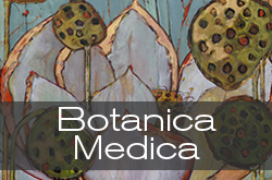 Botanica Medica